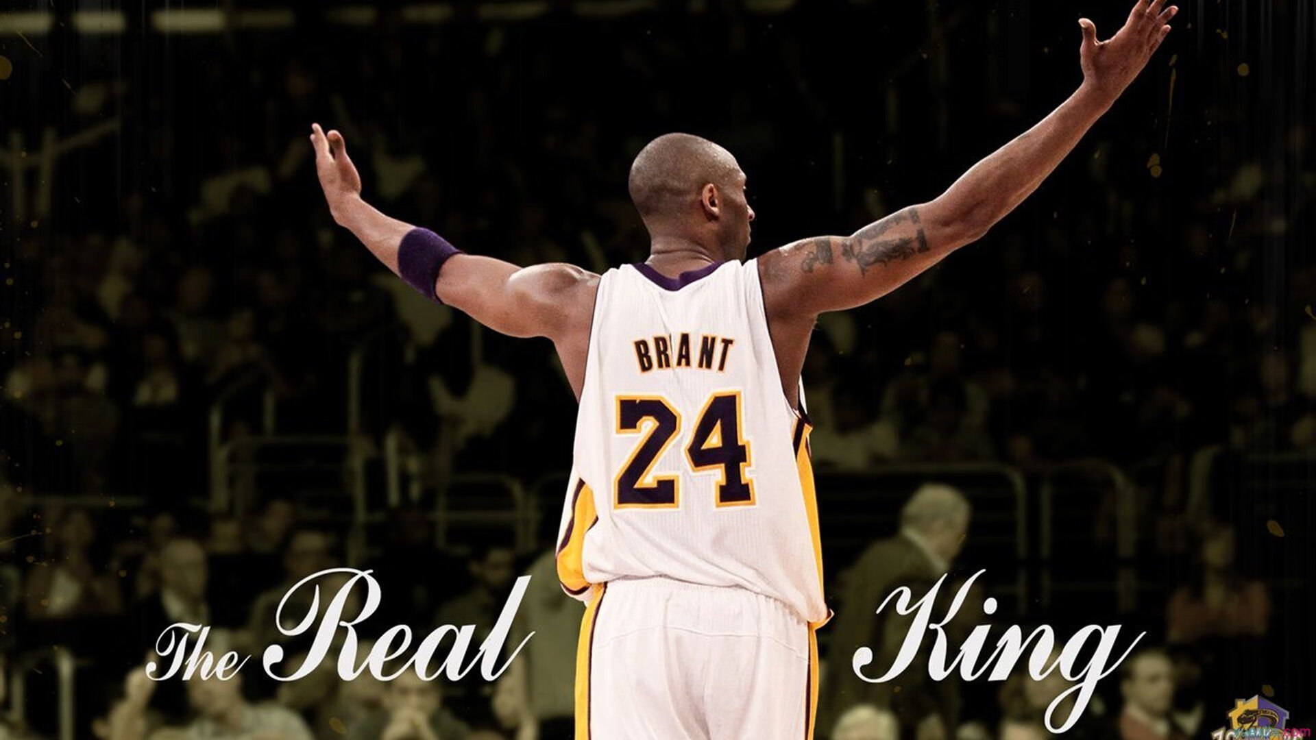 快船进攻体系完善，球队整体更具威胁，快船队强不强