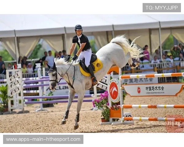 马术项目队员在障碍测试中表现出较高稳定性